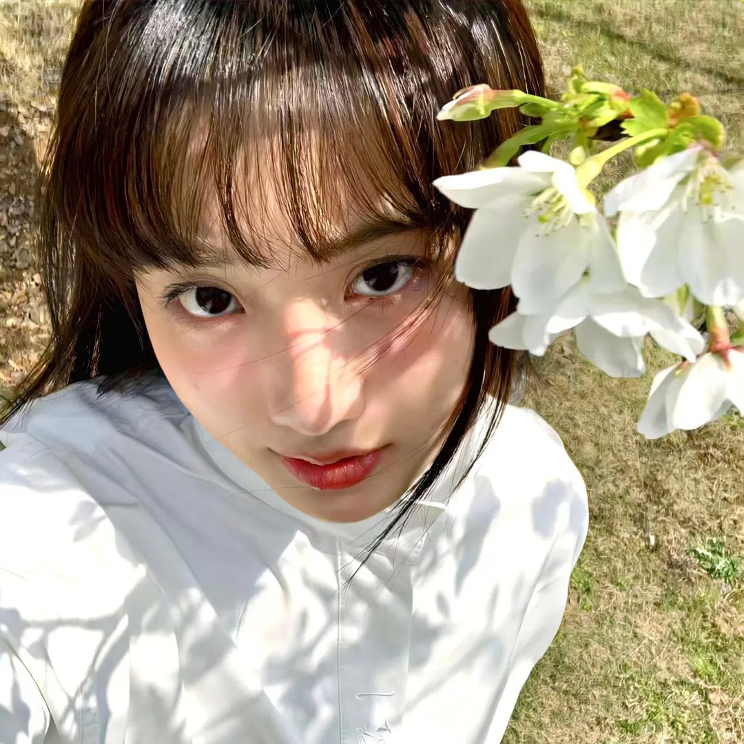 西野的恋爱与冒险